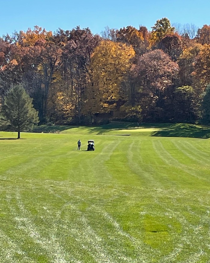 Cart on golf course fairway